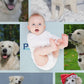 Custom Pet Photos Best Ever Fleece Blanket