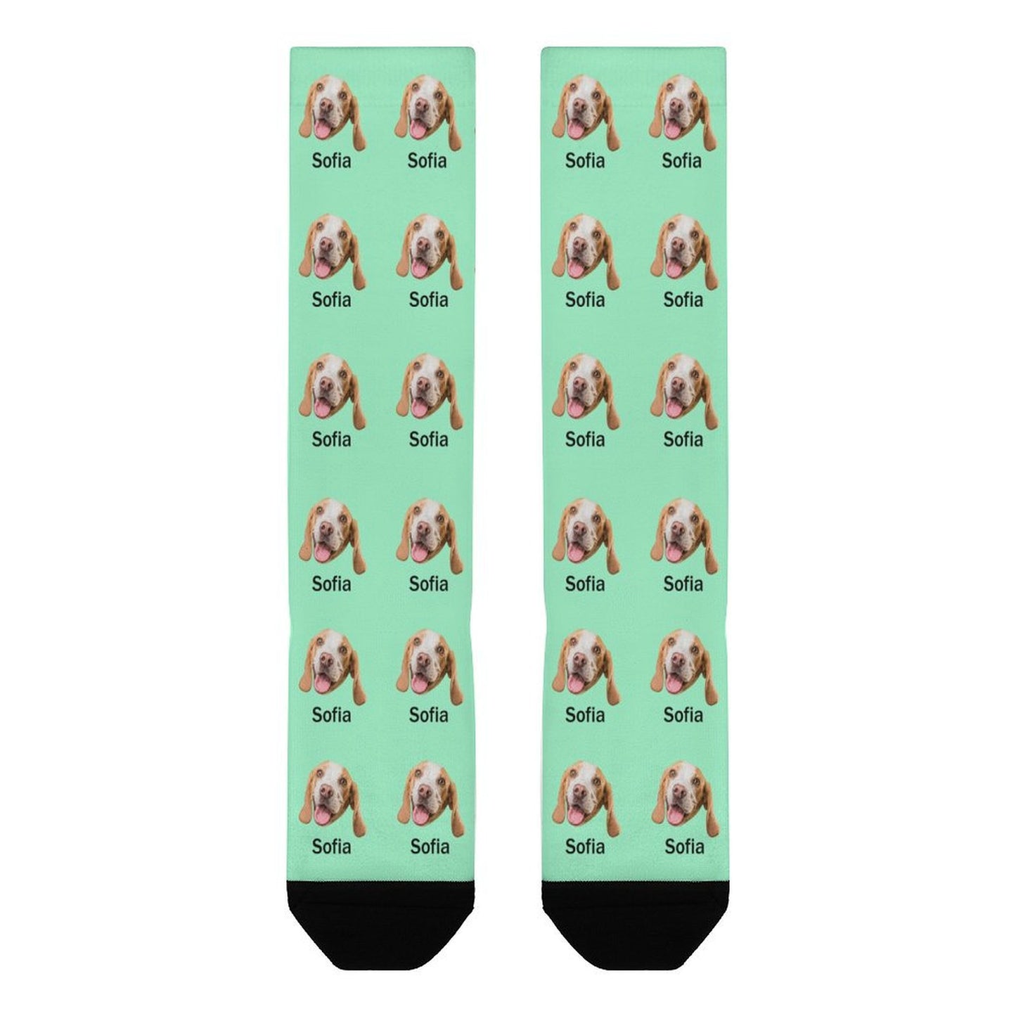 Custom Pet Face and Name Socks