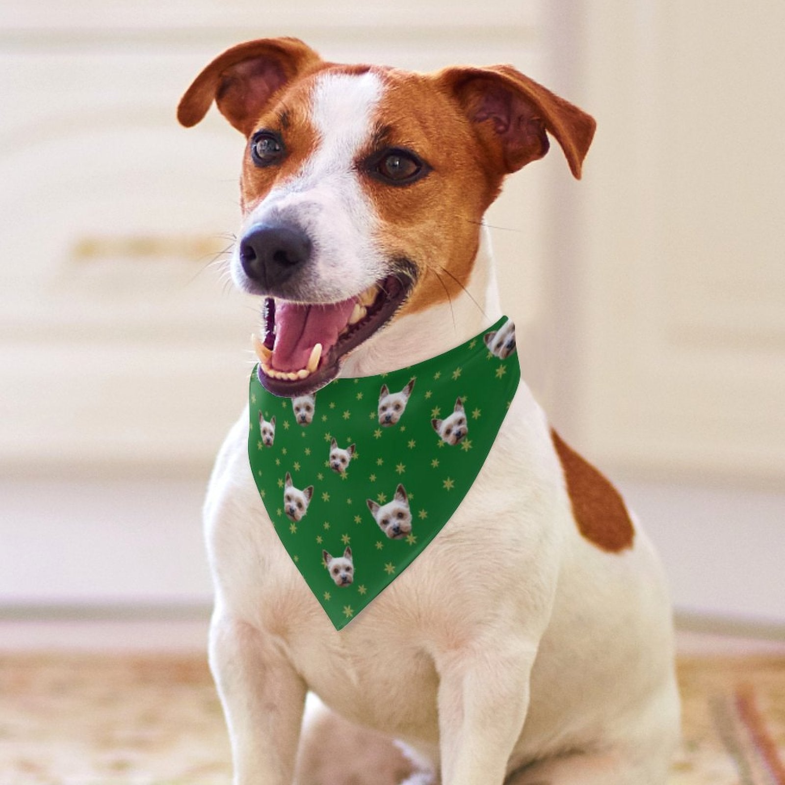 Custom Pet Scarf Christmas Pet Face Bandana-WEPRINTME-15