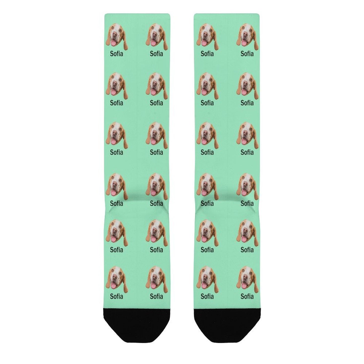 Custom Pet Face and Name Socks