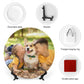 Custom Photo Bone China Decorative Plate