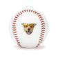 Custom Pet Baseball