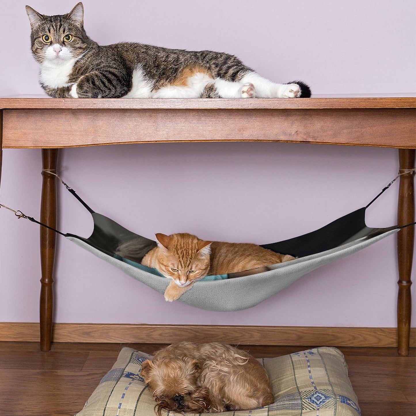 Custom Photo Pet Hammock