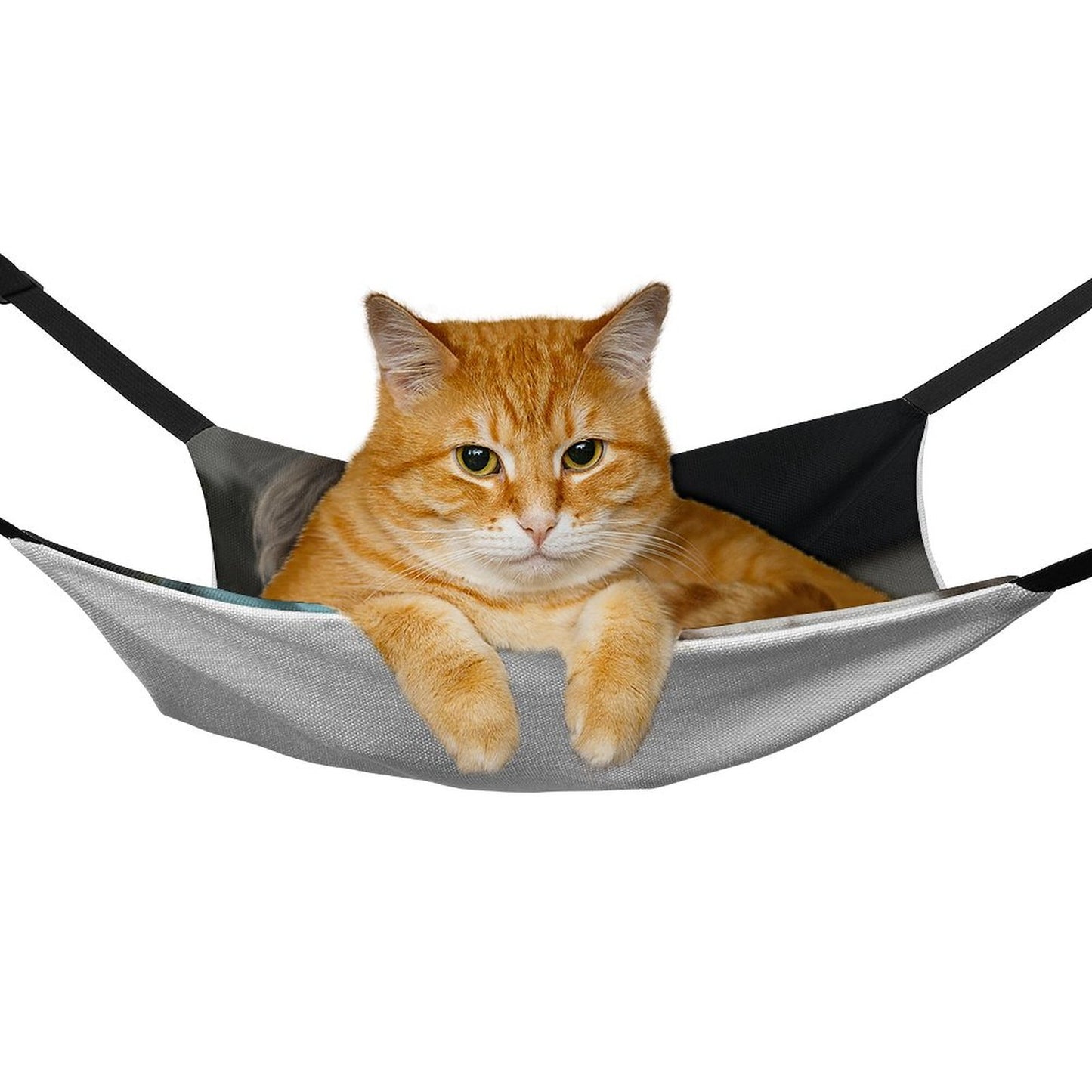 Custom Photo Pet Hammock