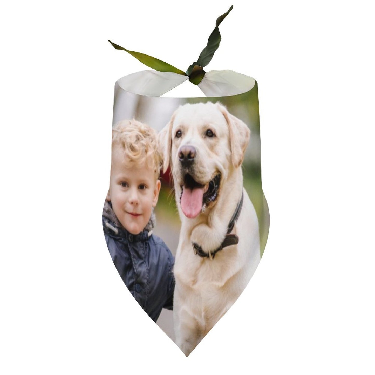 Custom Photo Pet Scarf